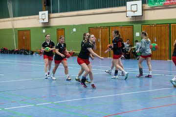 Bild 130 - Frauen HSG Krem/Muensterdorf - HG OKT 3 : Ergebnis: 33:21